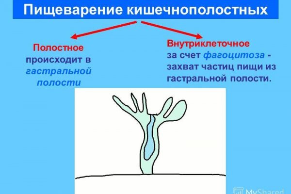 Сайт кракен зайти