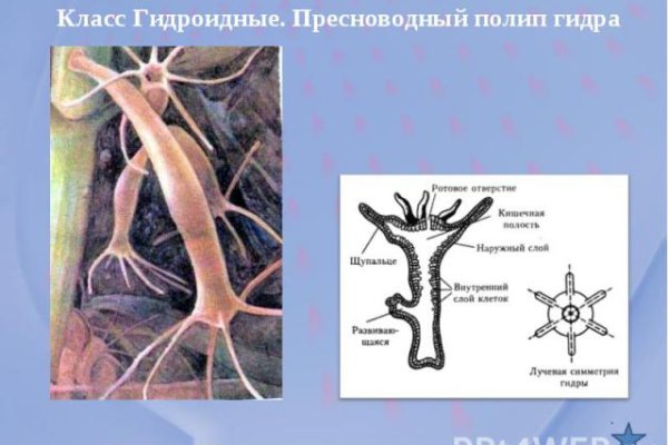 Что случилось с кракеном маркетплейс