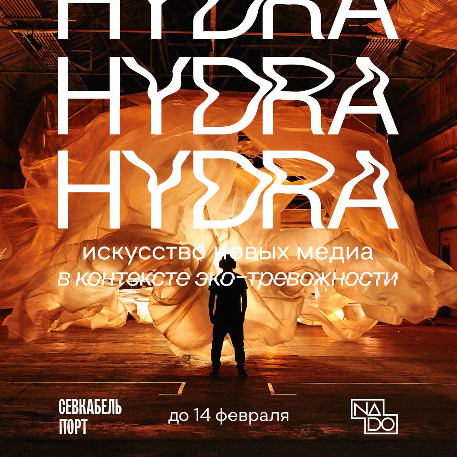 Через какой браузер зайти на кракен