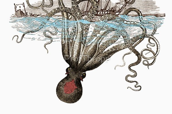 Kraken зеркало krakens13 at